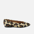 Big Leo Pointed Toe Ballet Flats | Eli 1957